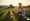 10 Tax Planning Solutions for Rural Business Success