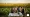 4 Best Practices for Agriculture M&A Advisory Success