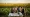 4 Best Practices for Agriculture M&A Advisory Success