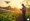 Understanding Farmer Solutions: Importance, Origins, and Key Traits